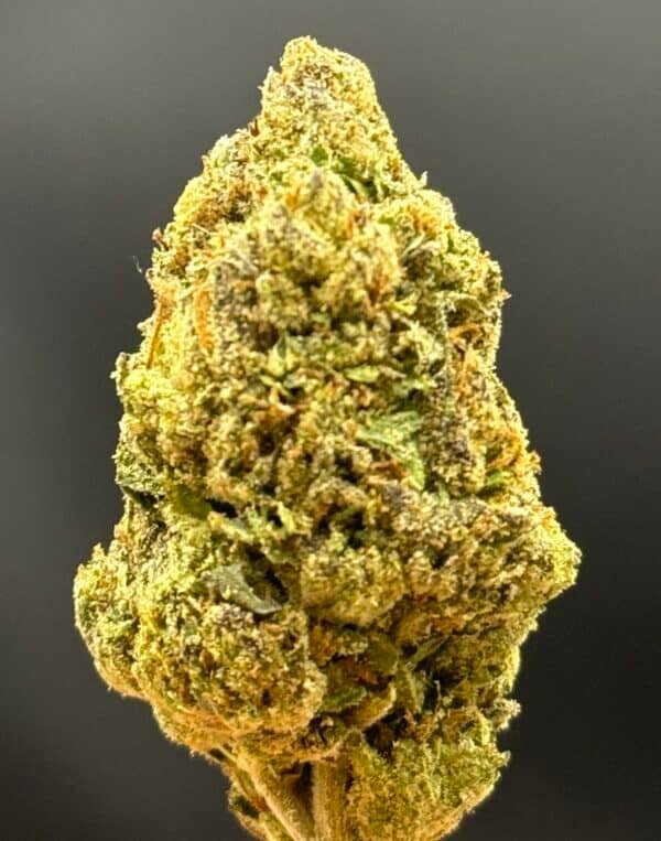 Cereal Milk – THCA Flower - Image 2