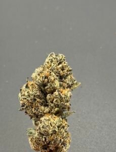 Gelato THCA Flower – Premium Exotic High THCA Flower | Best THCA Flower Online