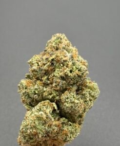 Mimosa THCA Flower – Premium Exotic High THCA Flower | THCA Flower Online